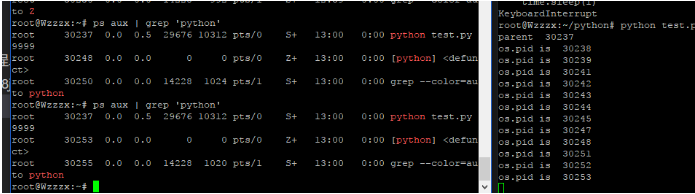 python清理子进程机制剖析