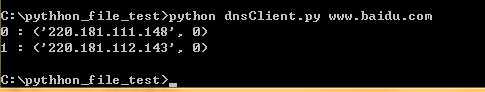 python实现域名系统(DNS)正向查询的方法