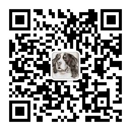 在Python的Bottle框架中使用微信API的示例